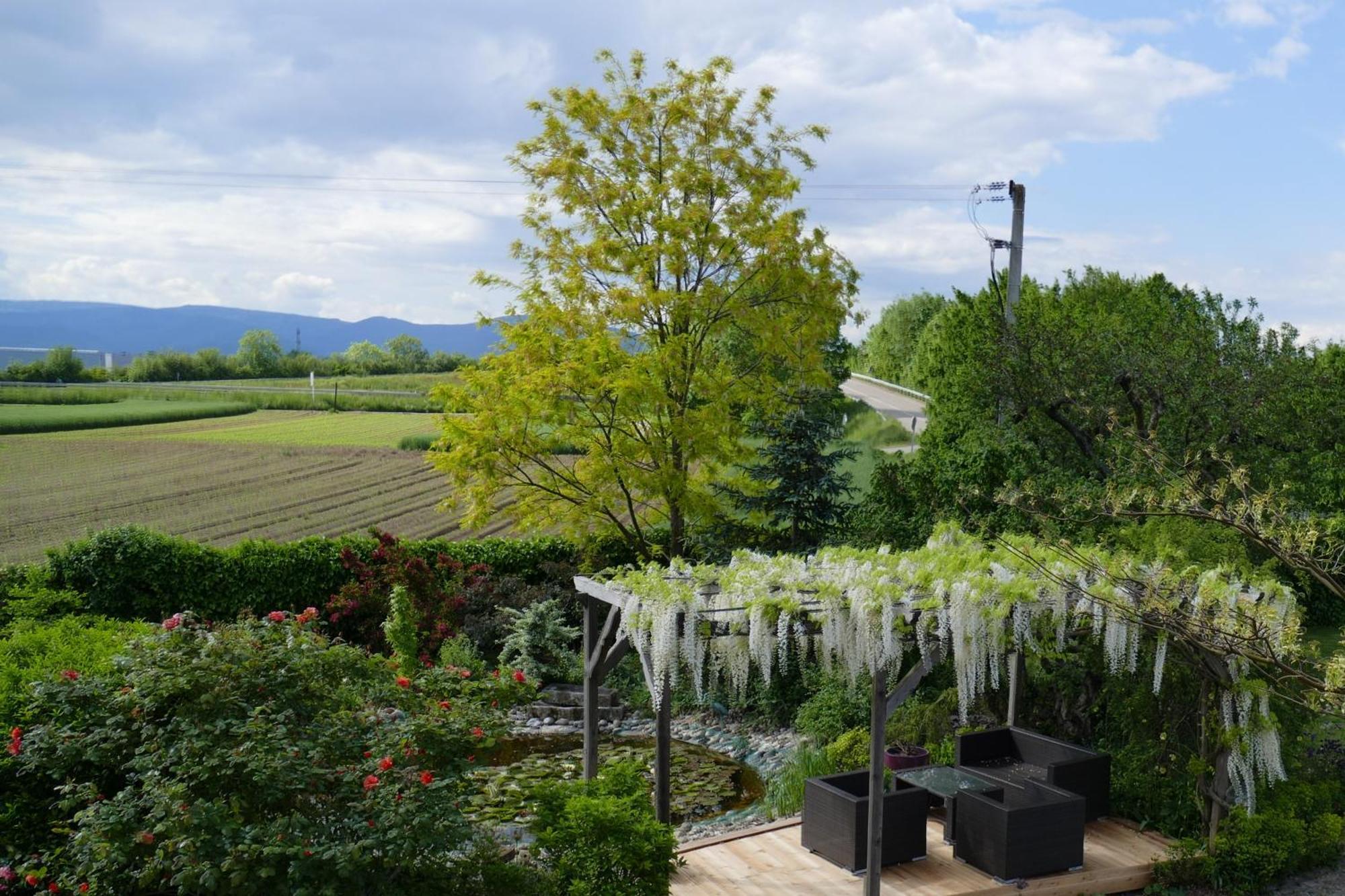 Au Relais De L'Ill Hotel Sermersheim ภายนอก รูปภาพ